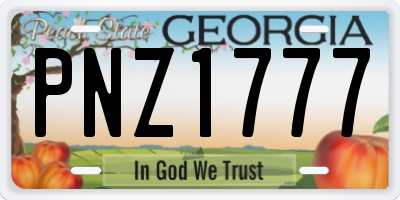 GA license plate PNZ1777