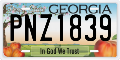 GA license plate PNZ1839