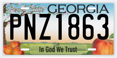 GA license plate PNZ1863