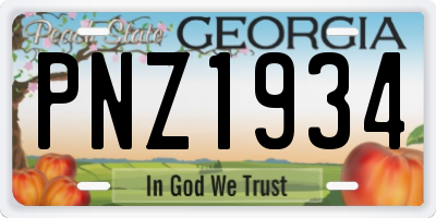 GA license plate PNZ1934