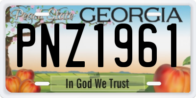 GA license plate PNZ1961