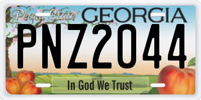 GA license plate PNZ2044