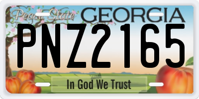 GA license plate PNZ2165