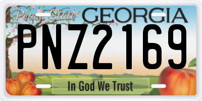 GA license plate PNZ2169