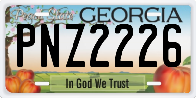 GA license plate PNZ2226
