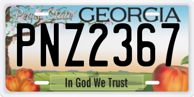 GA license plate PNZ2367