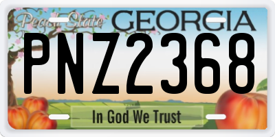 GA license plate PNZ2368
