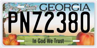 GA license plate PNZ2380