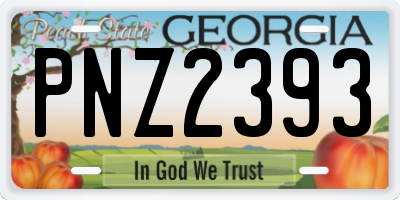 GA license plate PNZ2393