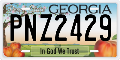 GA license plate PNZ2429