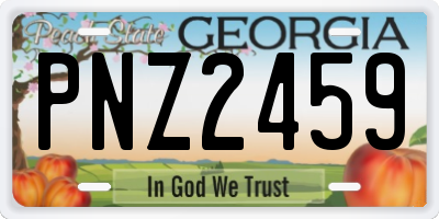 GA license plate PNZ2459