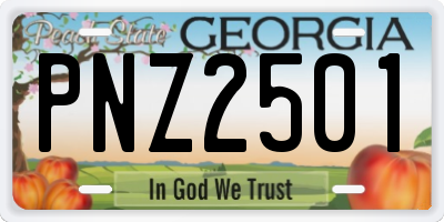 GA license plate PNZ2501