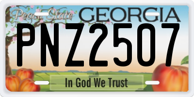 GA license plate PNZ2507