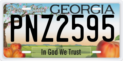 GA license plate PNZ2595