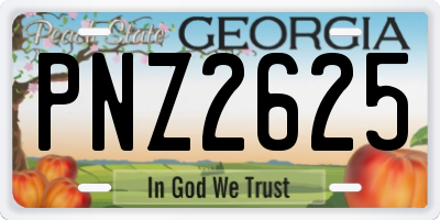 GA license plate PNZ2625
