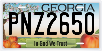 GA license plate PNZ2650