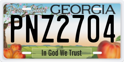 GA license plate PNZ2704