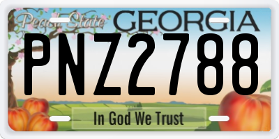 GA license plate PNZ2788