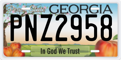 GA license plate PNZ2958