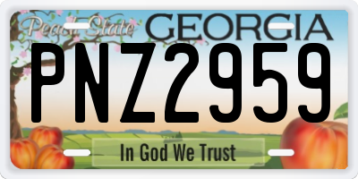 GA license plate PNZ2959