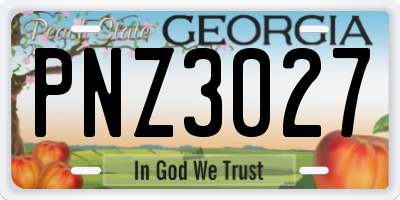 GA license plate PNZ3027