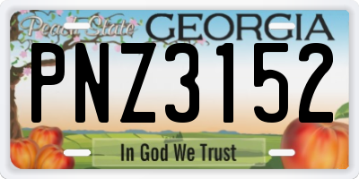 GA license plate PNZ3152