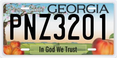 GA license plate PNZ3201