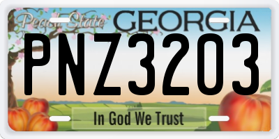 GA license plate PNZ3203