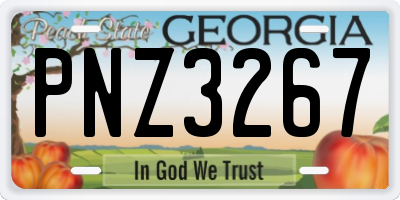 GA license plate PNZ3267