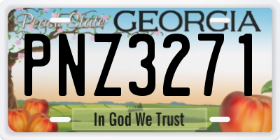 GA license plate PNZ3271
