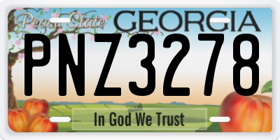 GA license plate PNZ3278