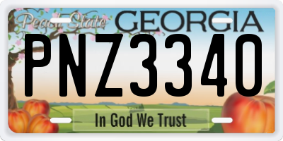 GA license plate PNZ3340