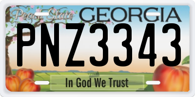 GA license plate PNZ3343