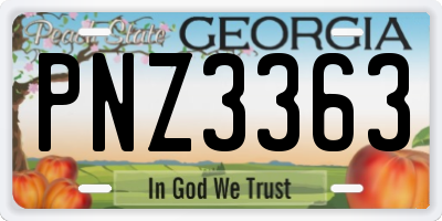 GA license plate PNZ3363