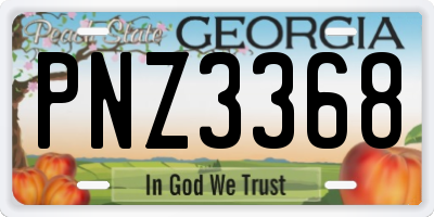 GA license plate PNZ3368