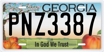 GA license plate PNZ3387