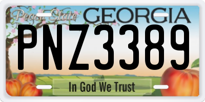 GA license plate PNZ3389