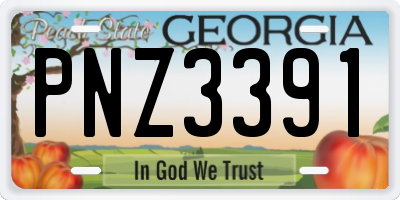 GA license plate PNZ3391