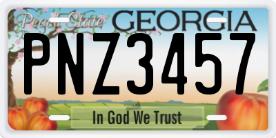 GA license plate PNZ3457