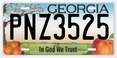 GA license plate PNZ3525
