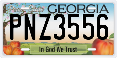 GA license plate PNZ3556