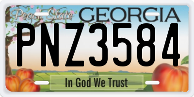 GA license plate PNZ3584