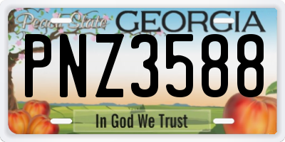 GA license plate PNZ3588