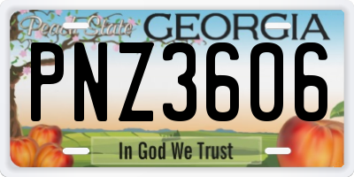 GA license plate PNZ3606