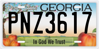 GA license plate PNZ3617