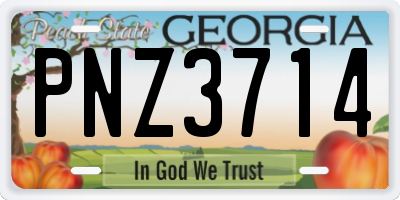 GA license plate PNZ3714