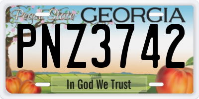 GA license plate PNZ3742