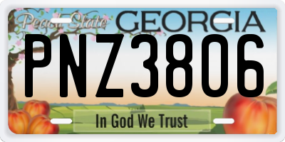 GA license plate PNZ3806