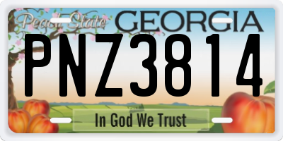 GA license plate PNZ3814
