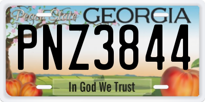 GA license plate PNZ3844
